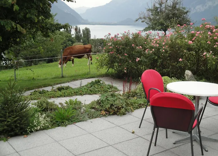 Sunnehuesi ホテル *